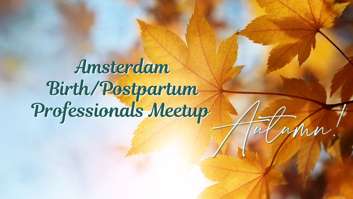 Amsterdam Birth \/ Postpartum Professionals Meet-up