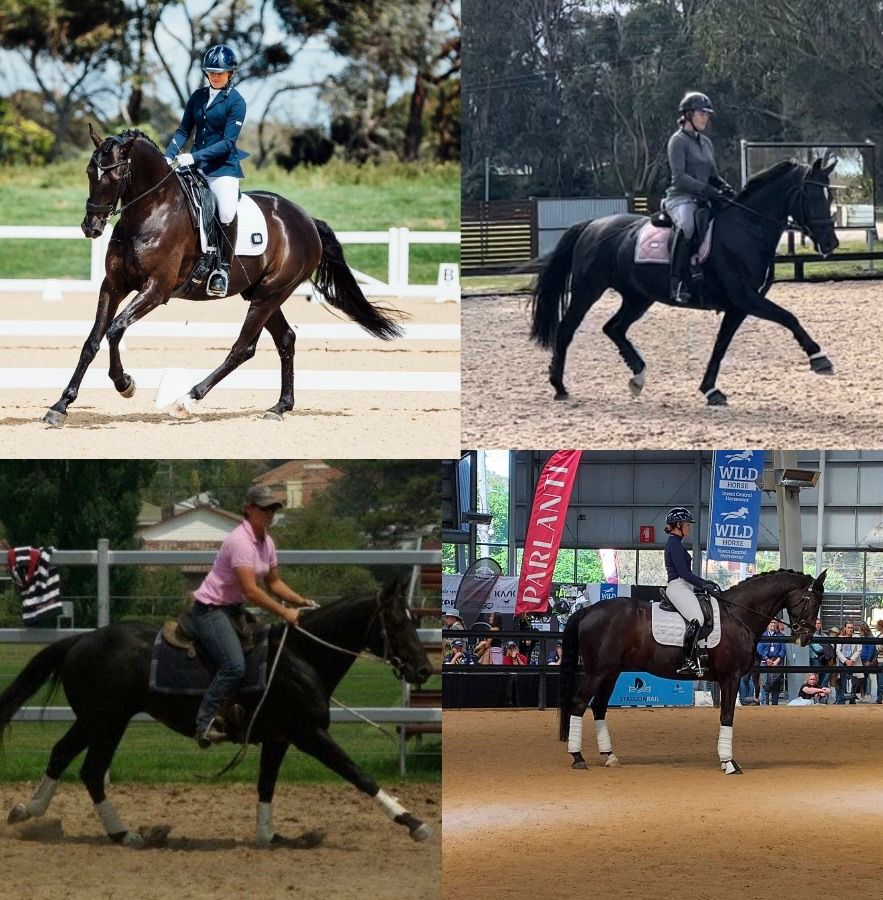 Ridden Horsemanship Clinic with Tabatha Ashlin 