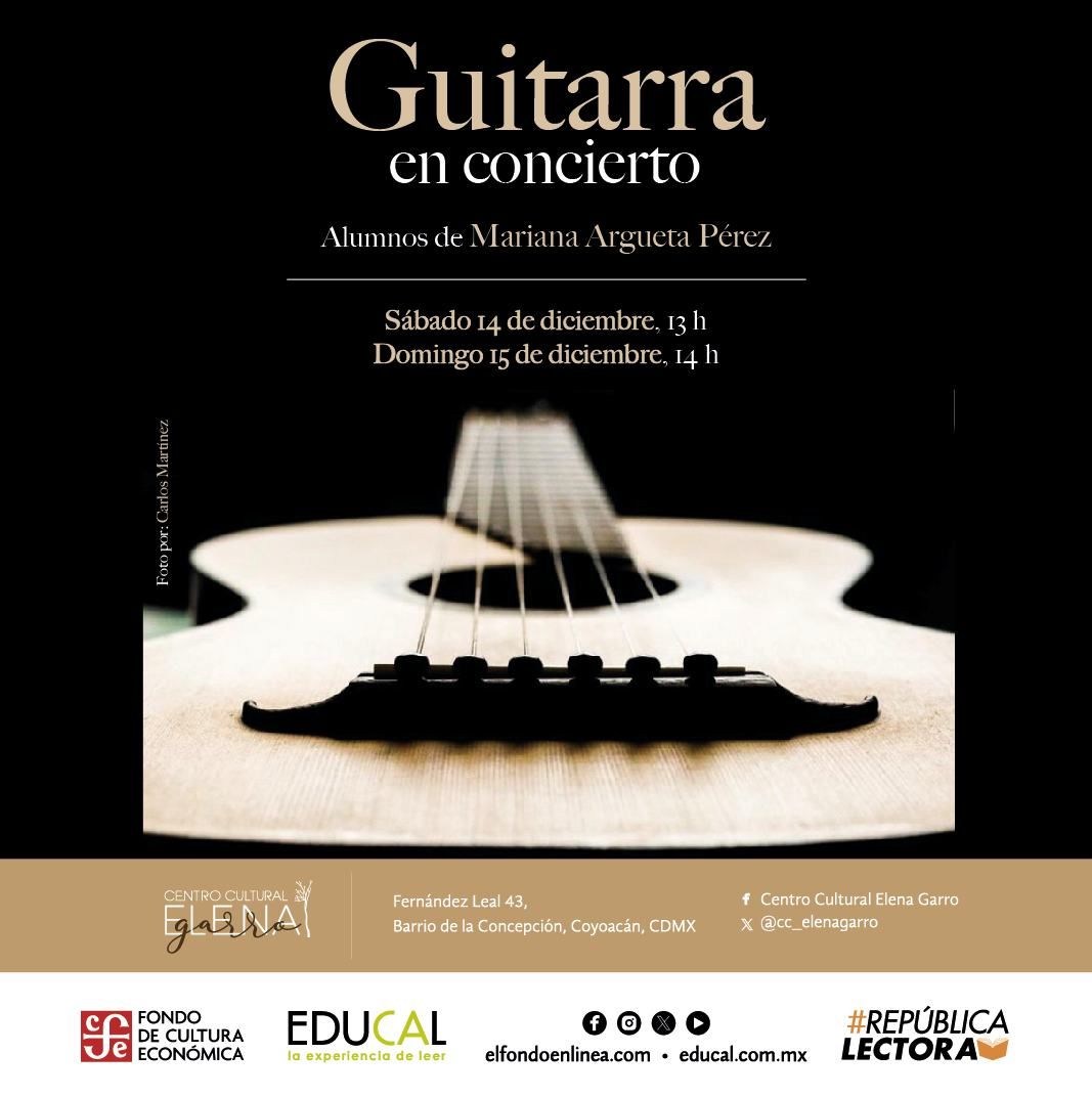 Guitarra en concierto.