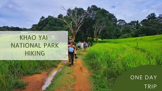 Khao Yai: The Genesis of Tropical Forest Trekking