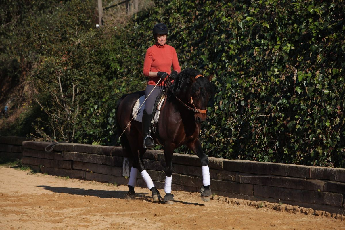 Connected Riding with Peggy Cummings UK