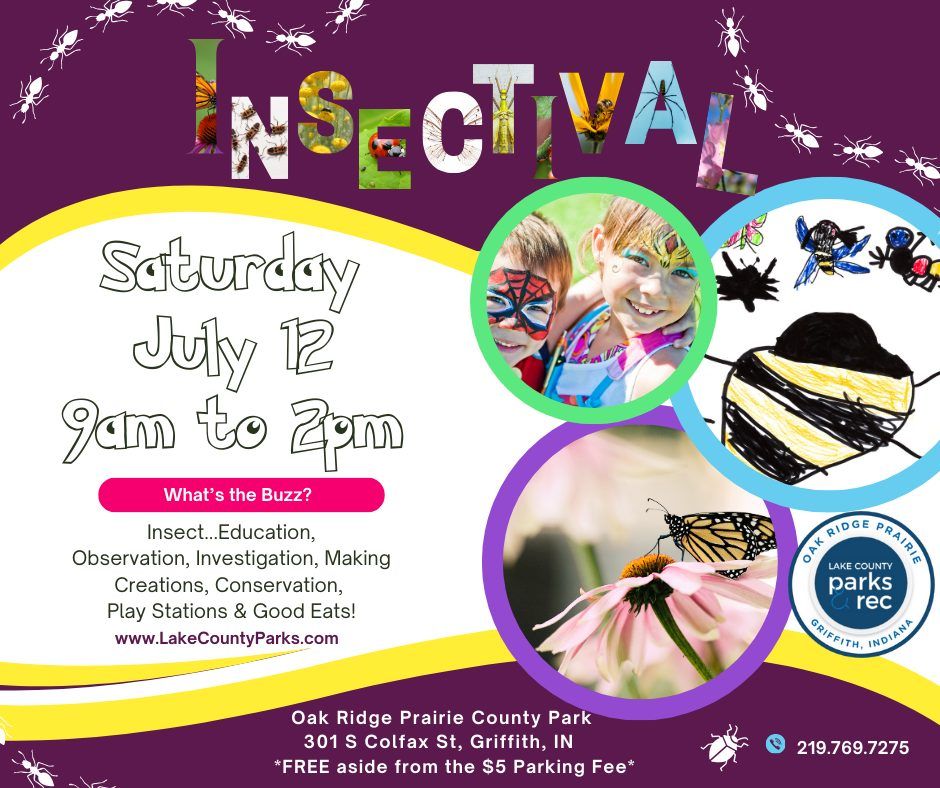 Insectival