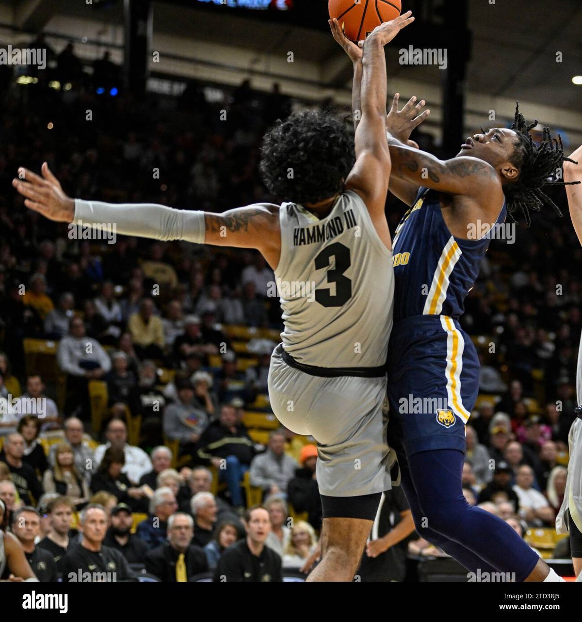 Northern Colorado Bears at Colorado Buffaloes Mens Basketball