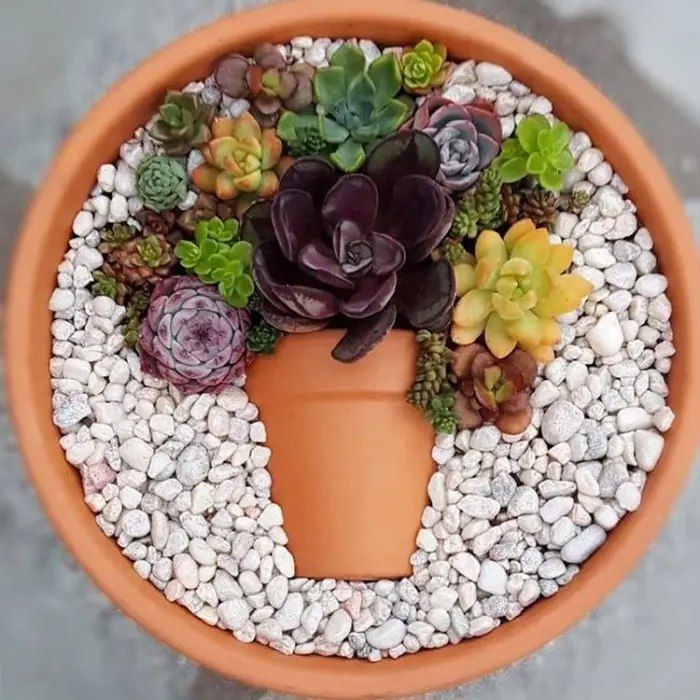 Gibsons Roadhouse Cafe Pot-n-Pot Succulent Arrangement 