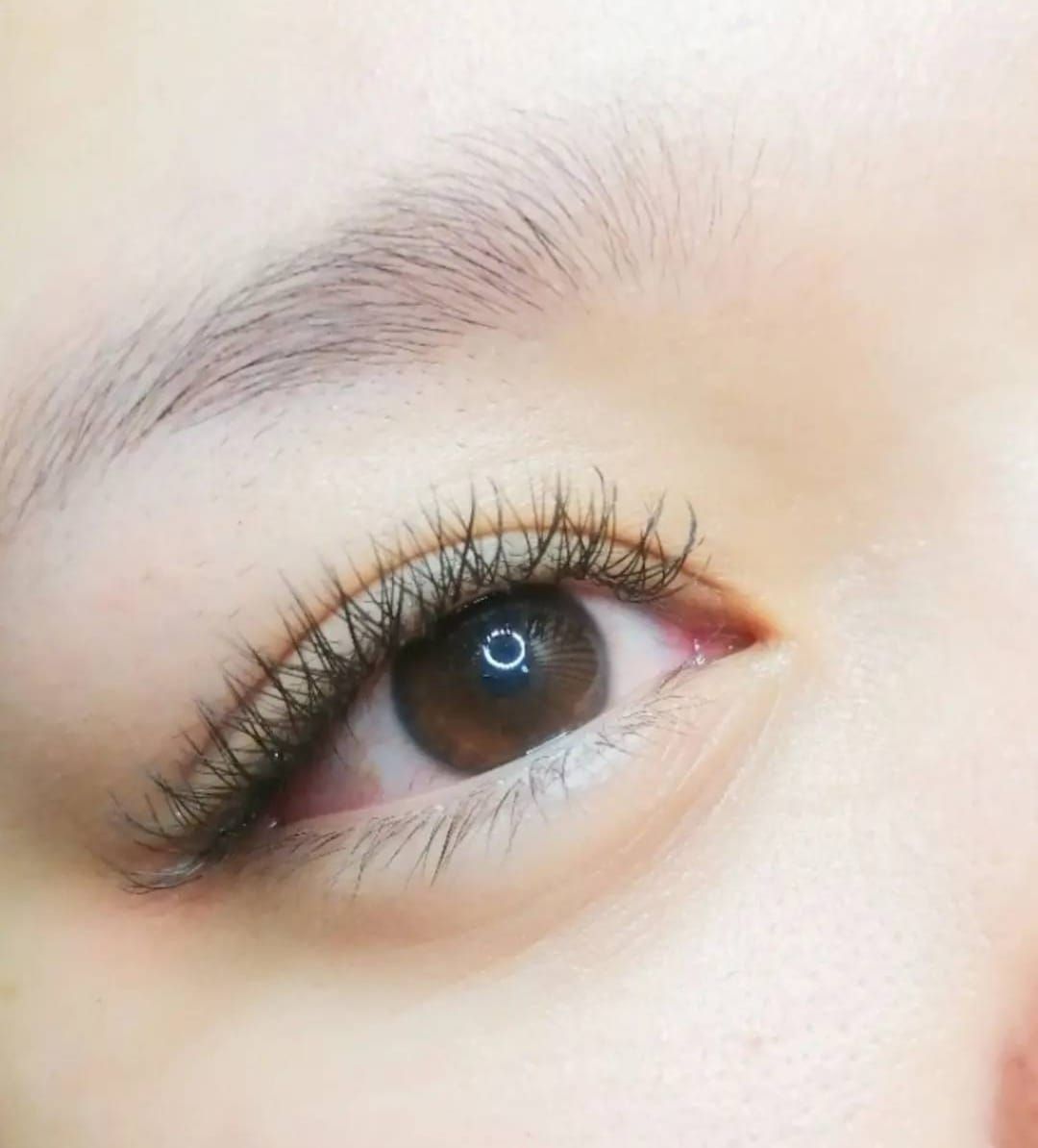 FREE EYELASH EXTENSION 