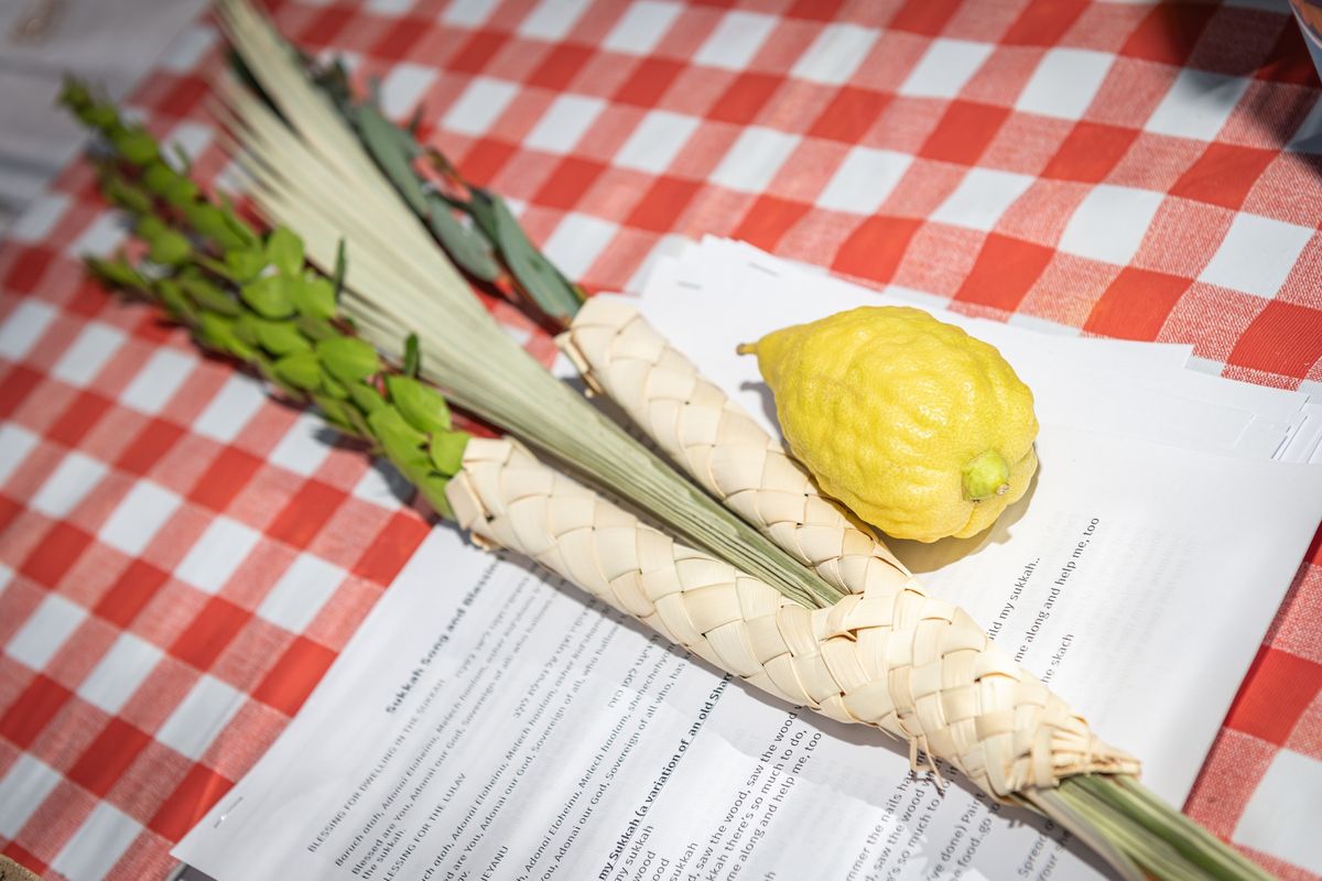 Sukkot on the Farm