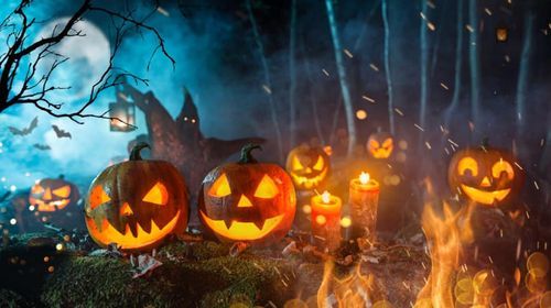 Erfurt\u2018s gr\u00f6\u00dftes HALLOWEEN FESTIVAL