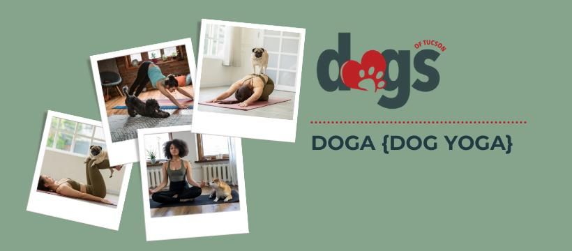 DOGA {Dog Yoga}