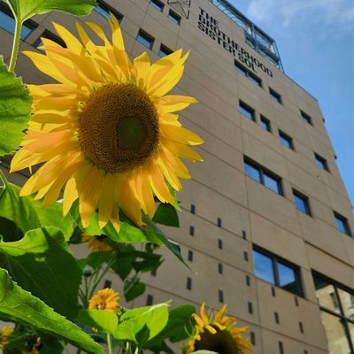 Frank White Memorial Garden