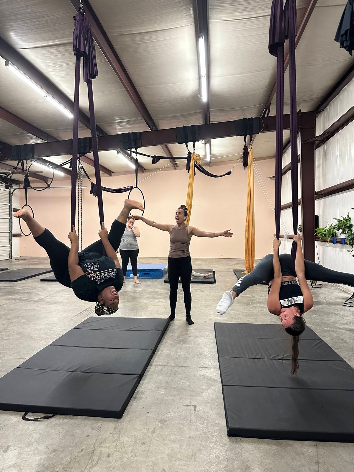 Adult Aerial Intro Sampler Class