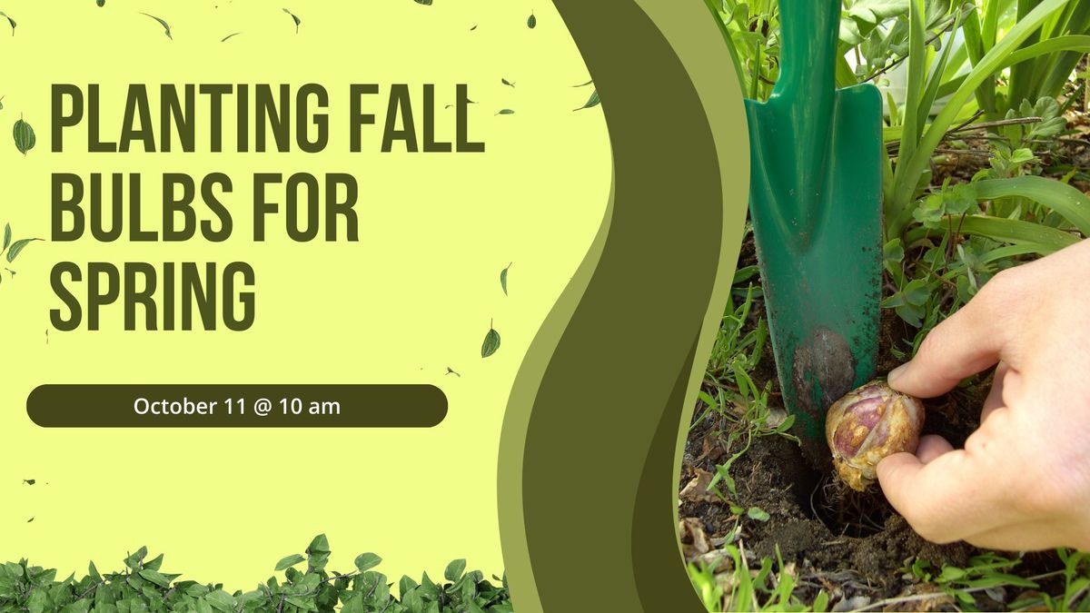 Planting Fall Bulbs for Spring