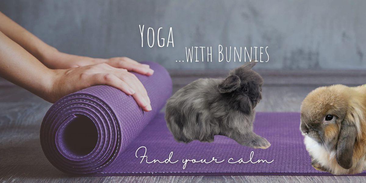 Yoga with bunnies