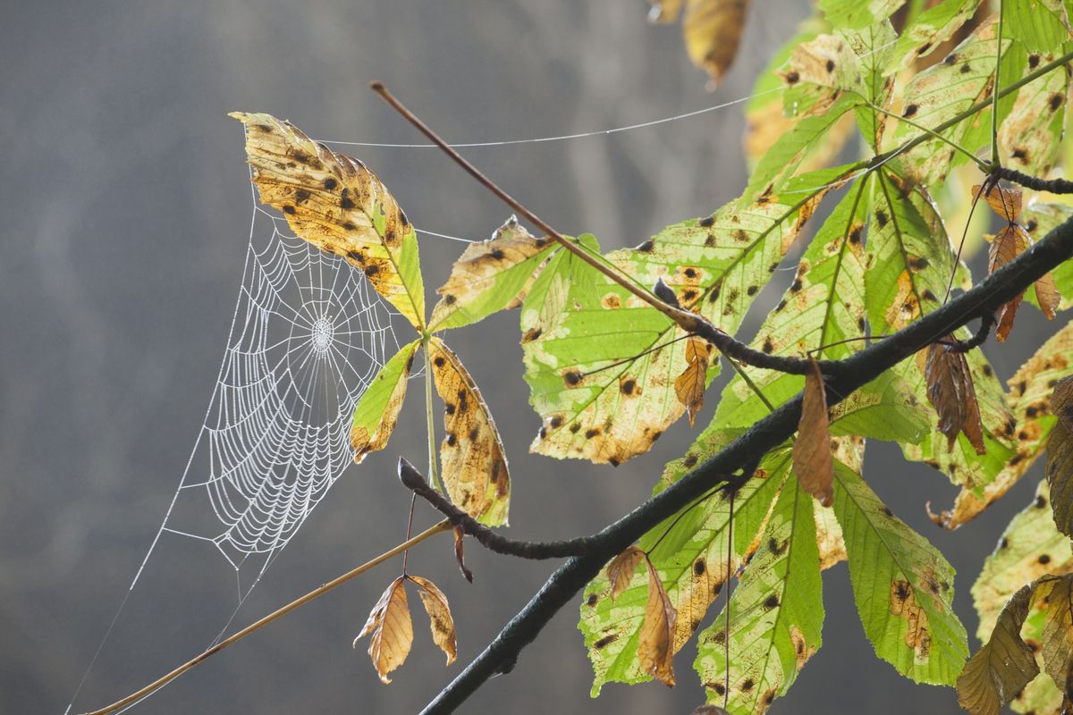 Digital wildlife photography for teenagers