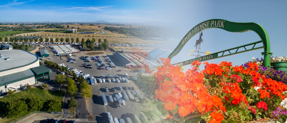 Parking Shuler King (18+)