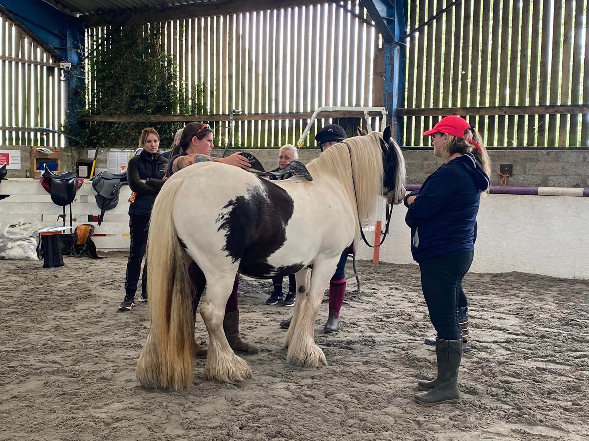 BHS Ayrshire Saddle Fitting Demo With Laura Nickel Of Amayzing Saddlery & Robyn Dunn Physio