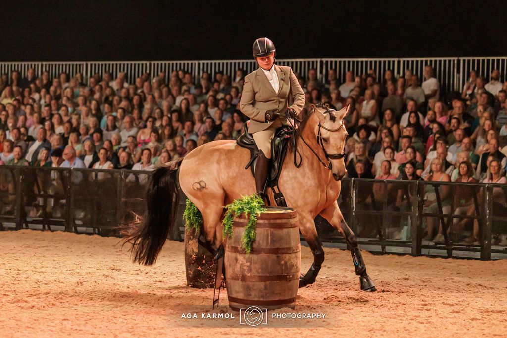 Working Equitation Training Competition 