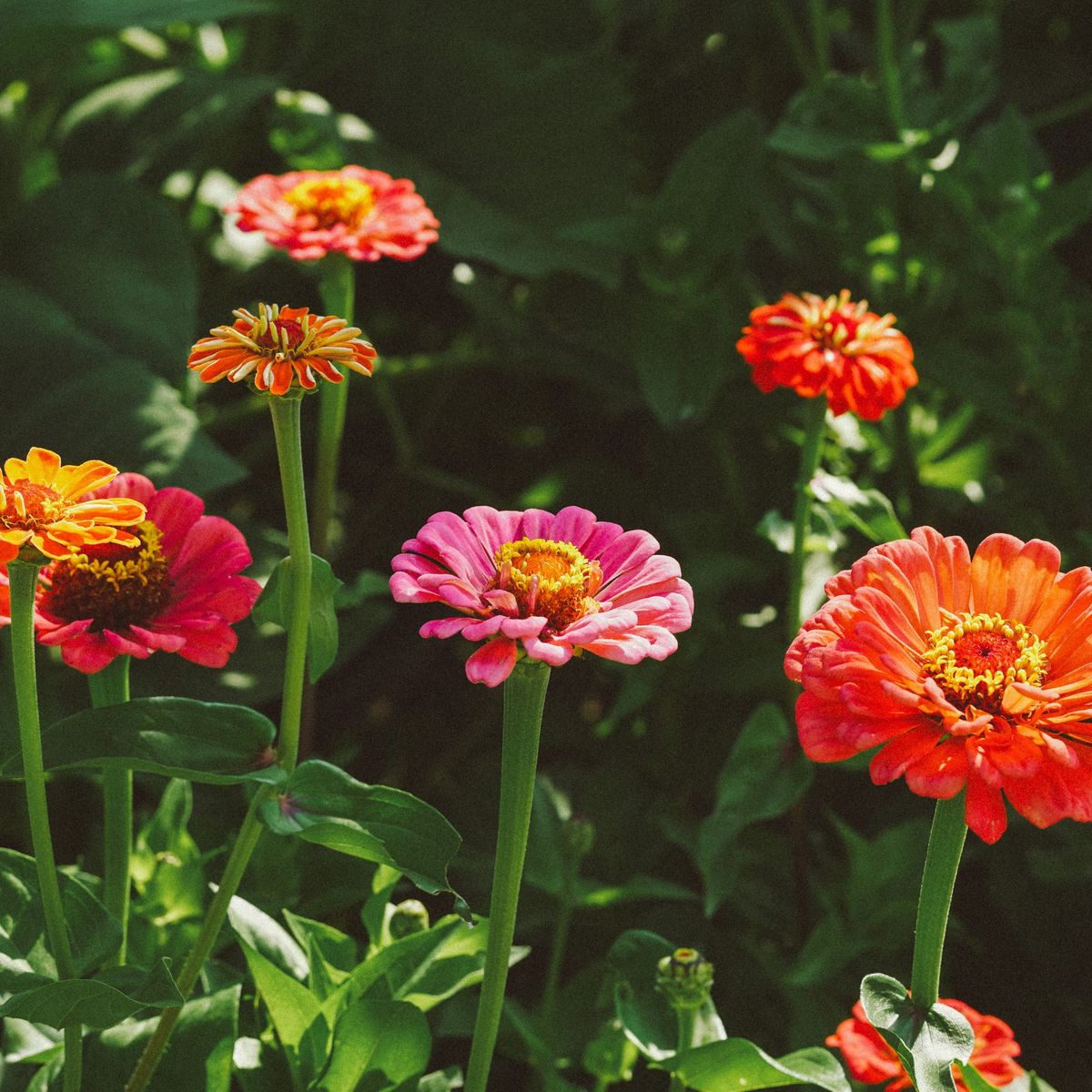 Seasonal Sound Healing with Emily Clark 