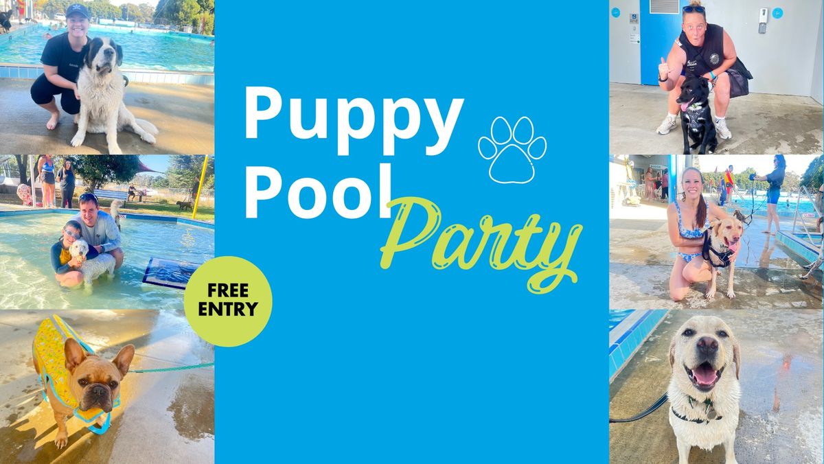 Whittlesea Swim Centre Puppy Pool Party