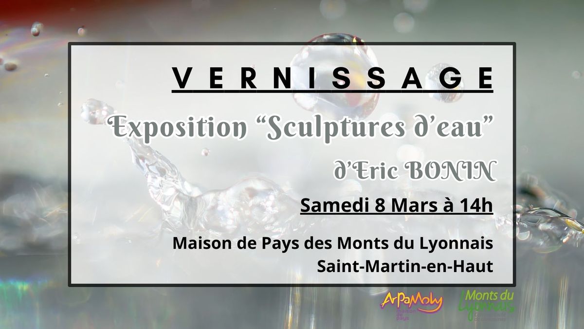 Vernissage - Exposition "Sculptures d\u2019eau" d'Eric BONIN