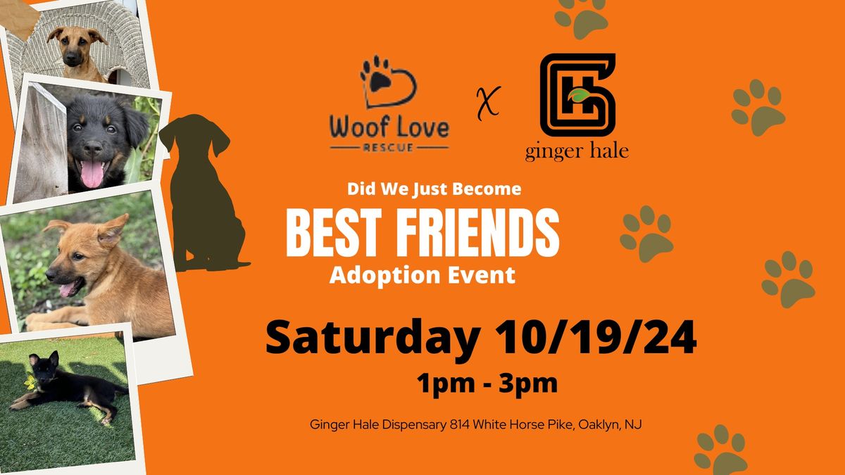 Woof Love Rescue @ Ginger Hale