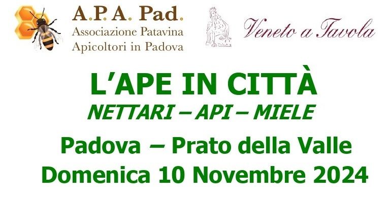 L'Ape in Citt\u00e0