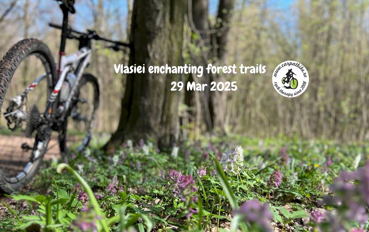 Vlasiei enchanting trails - Scrovistea forest