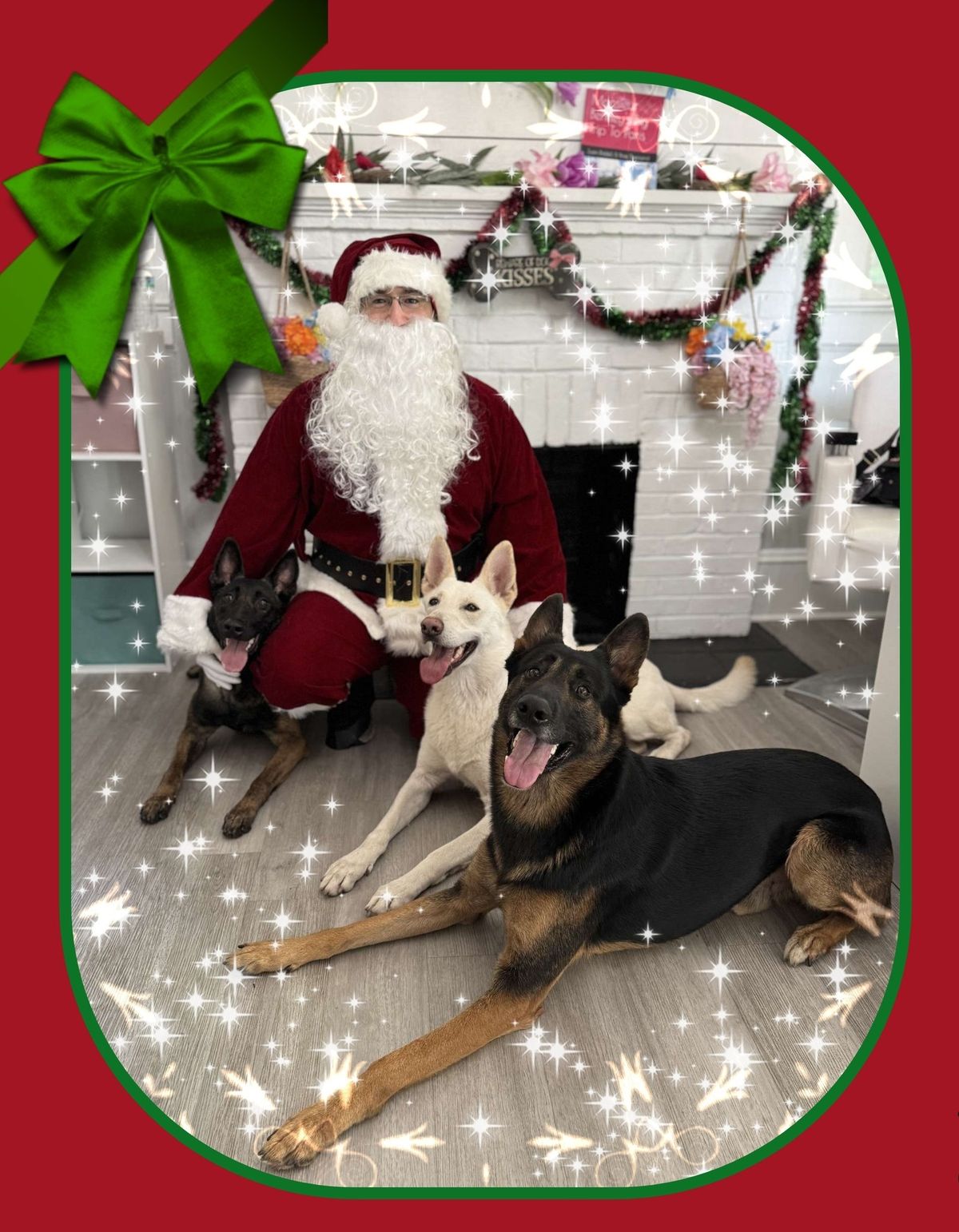 Come get your pet photos with Santa! Free event!