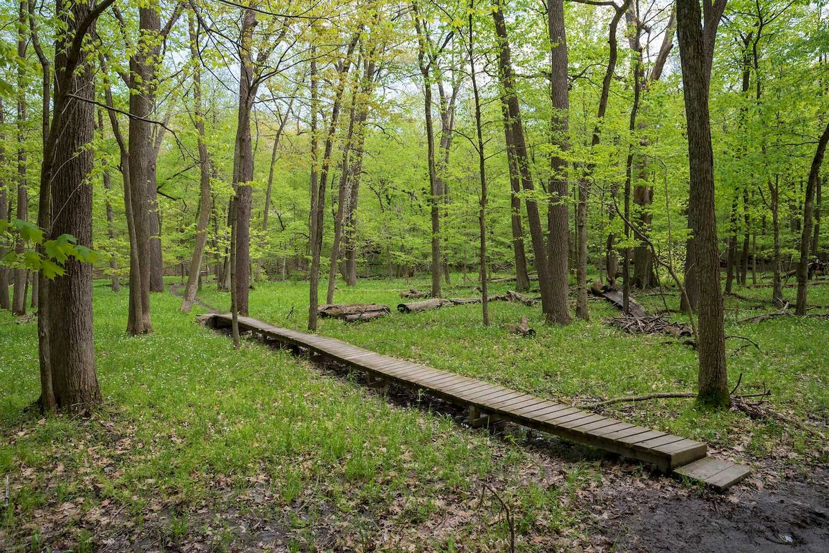 Spring Cleanup and Trail Workday at Thorn Creek Woods