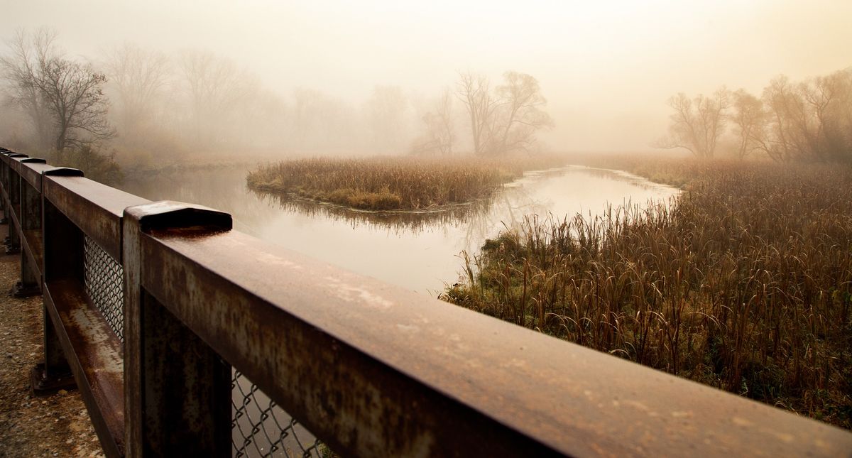 Shots In The Dark - Low Light Photography