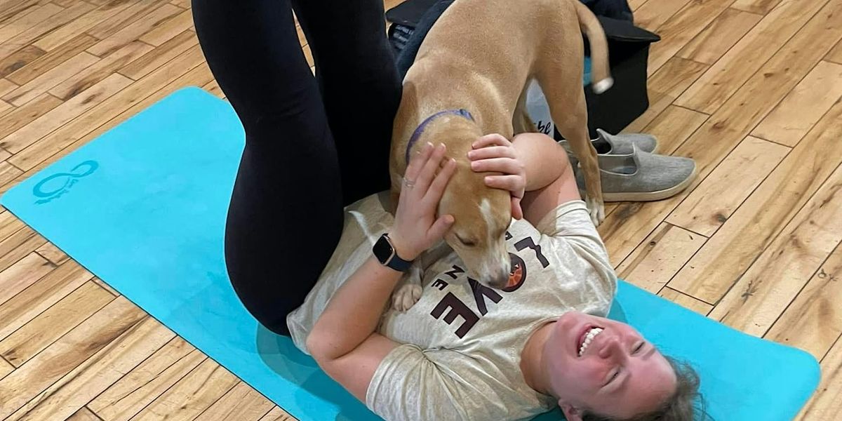 Doggy Noses & Yoga Poses at Angry Erik Brewing