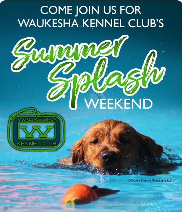 Waukesha Kennel Club's Summer Splash Dog Show