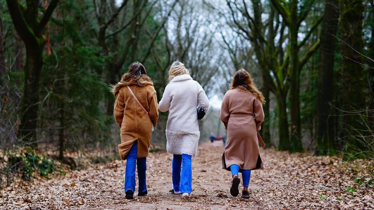 Wandeling + Speurtocht Mastbos met Nature For Health | Breda