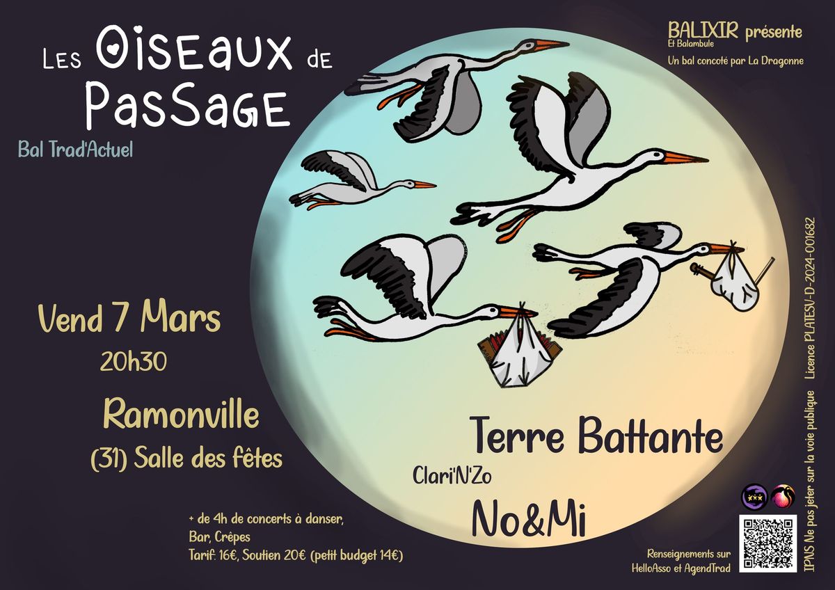 Les Oiseaux de PasSage #2