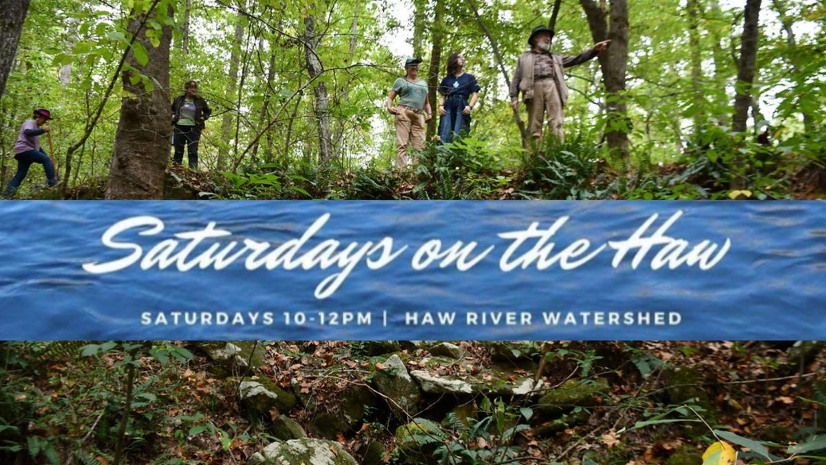  Saturday On The Haw: Headwaters Hike!