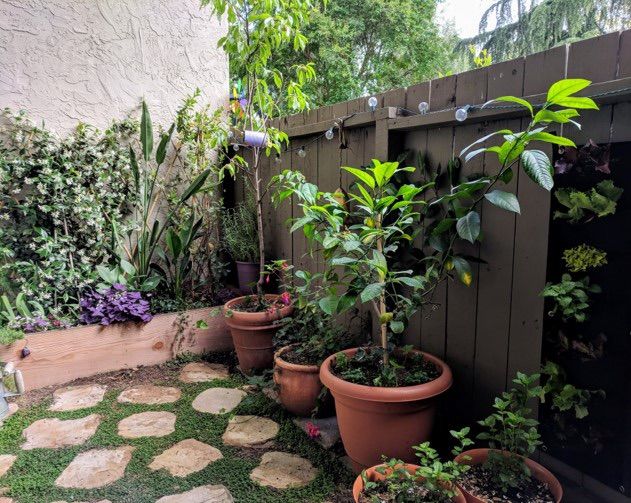 Container Gardening - San Jose