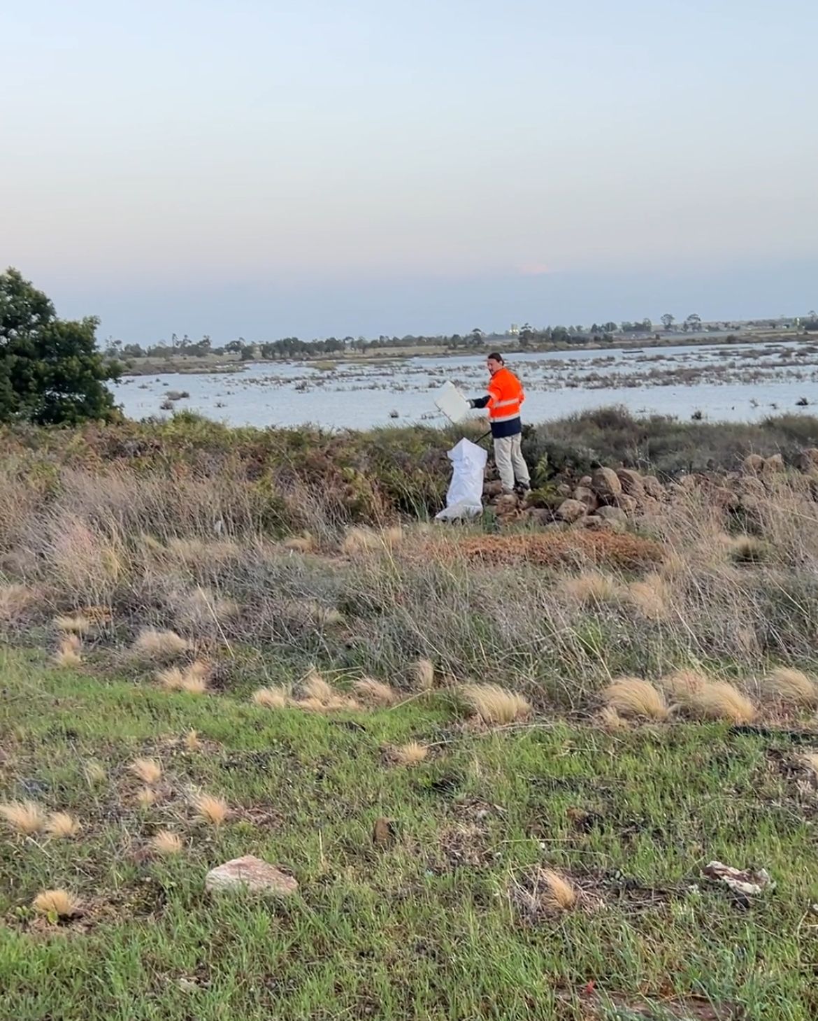 We Love Aintree: Clean Up Australia Day Community Clean Up