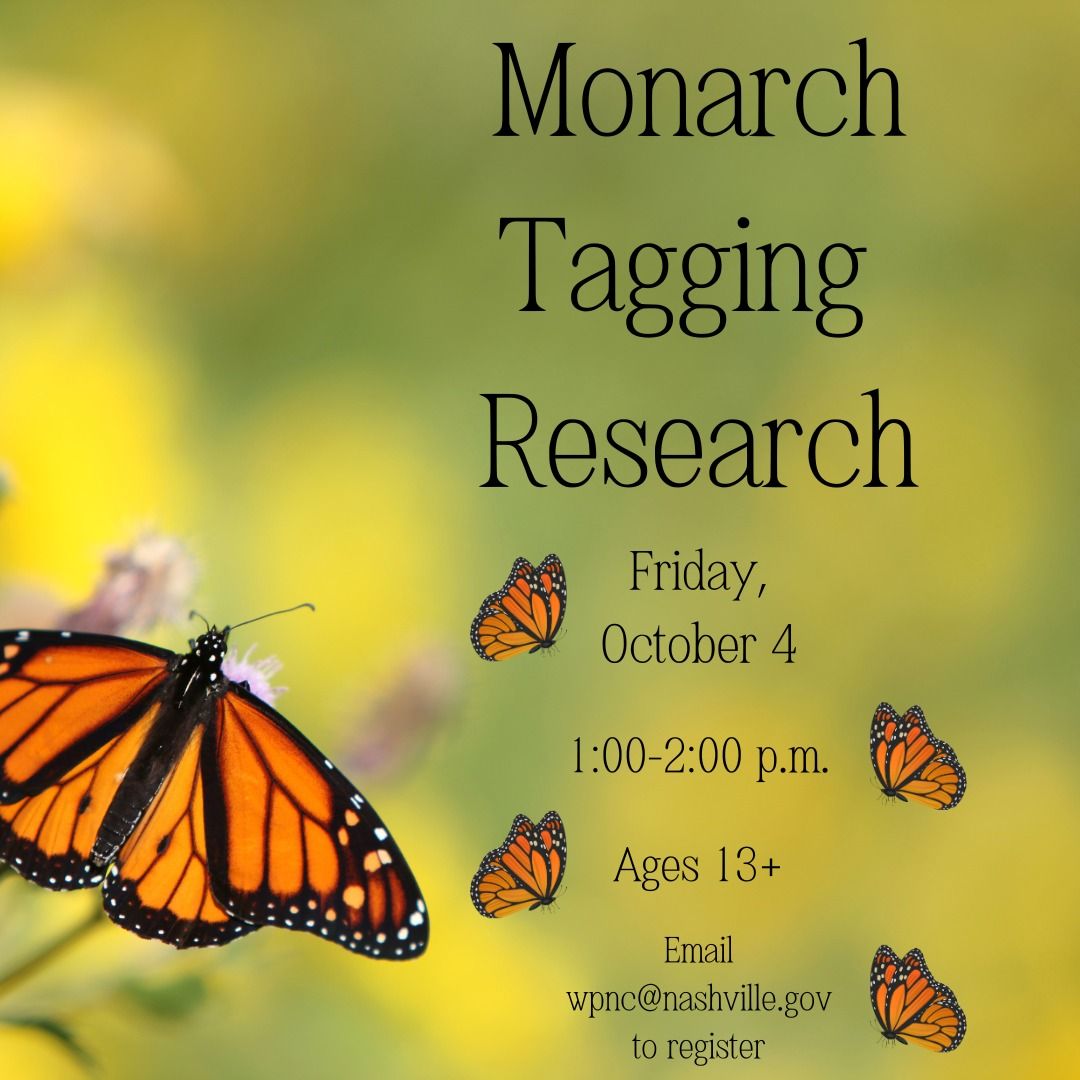 Monarch Tagging