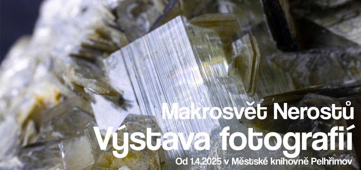 V\u00fdstava fotografi\u00ed - Makrosv\u011bt Nerost\u016f 