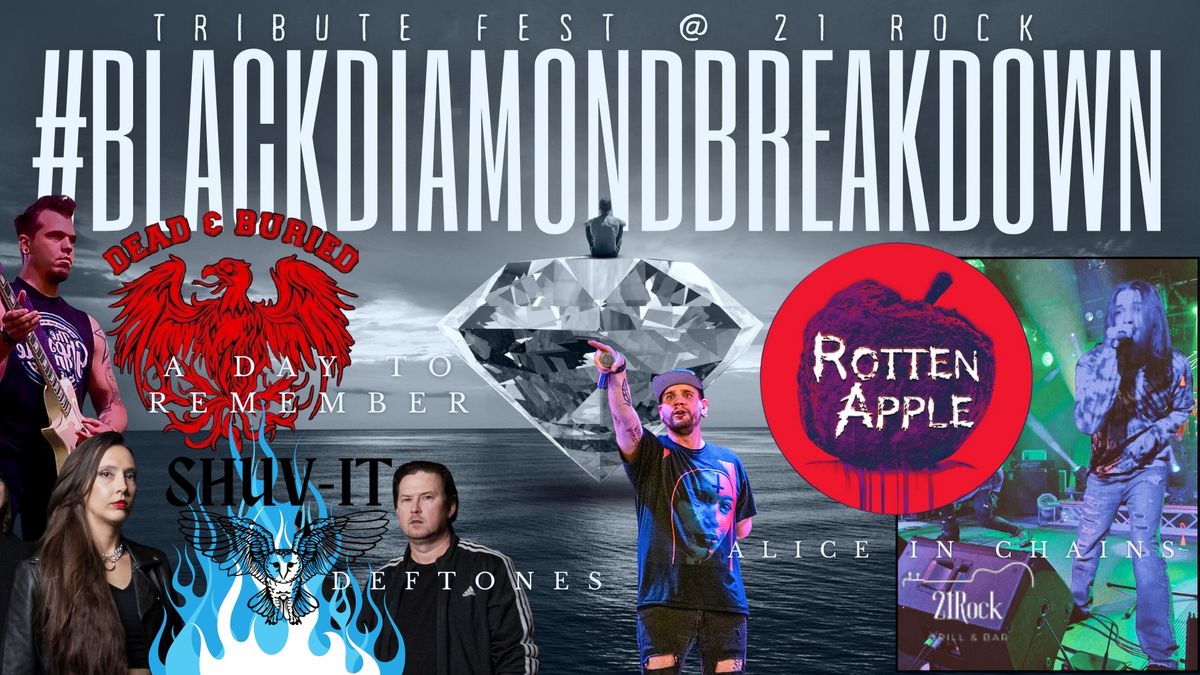 BlackDiamondBreakdown Tribute Fest | Deftones | Alice in Chains | A Day to Remember | Rotten Apple