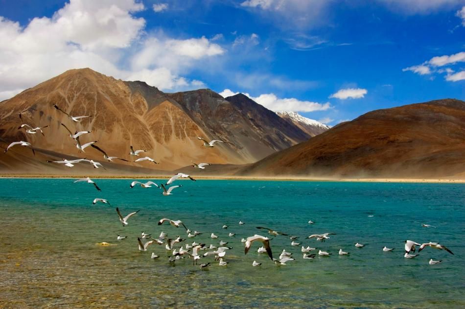 Spellbound in Ladakh 