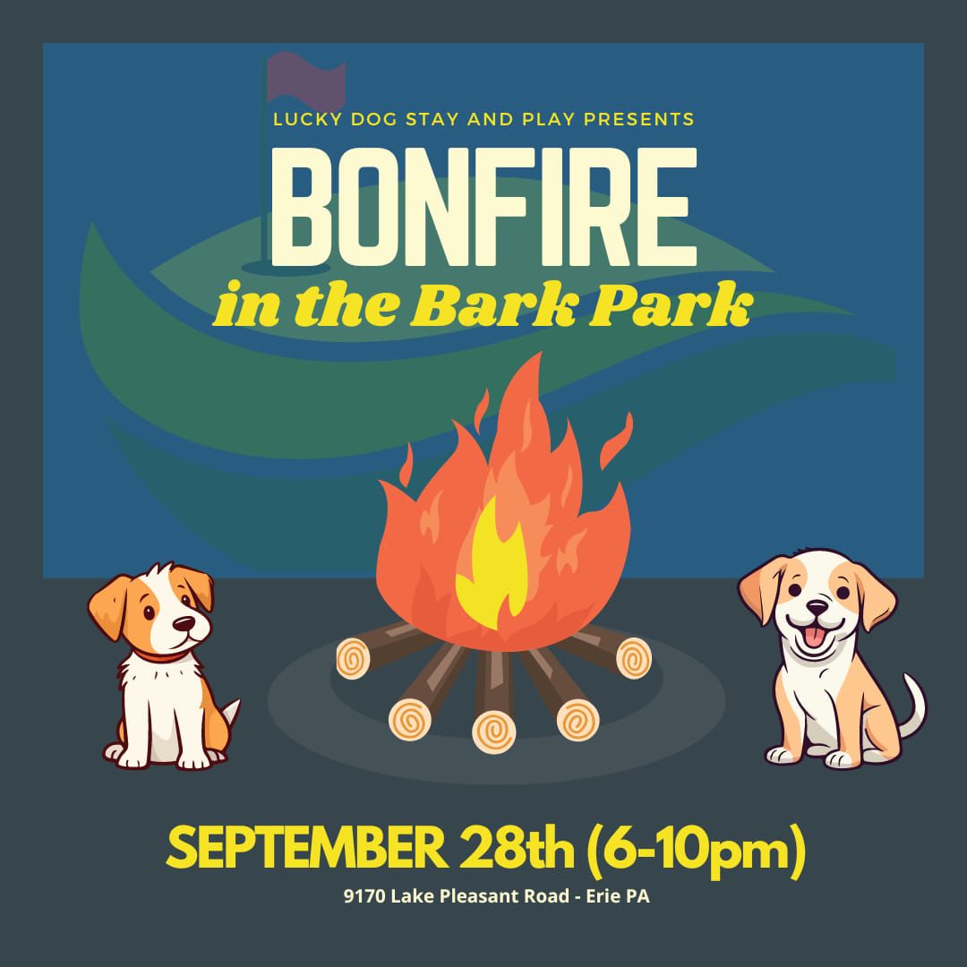 Bonfire in the Bark Park