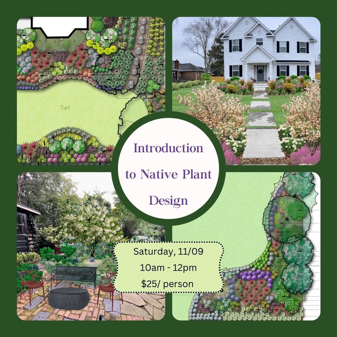 Introduction to Native Plant Design