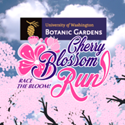 UW Cherry Blossom Run