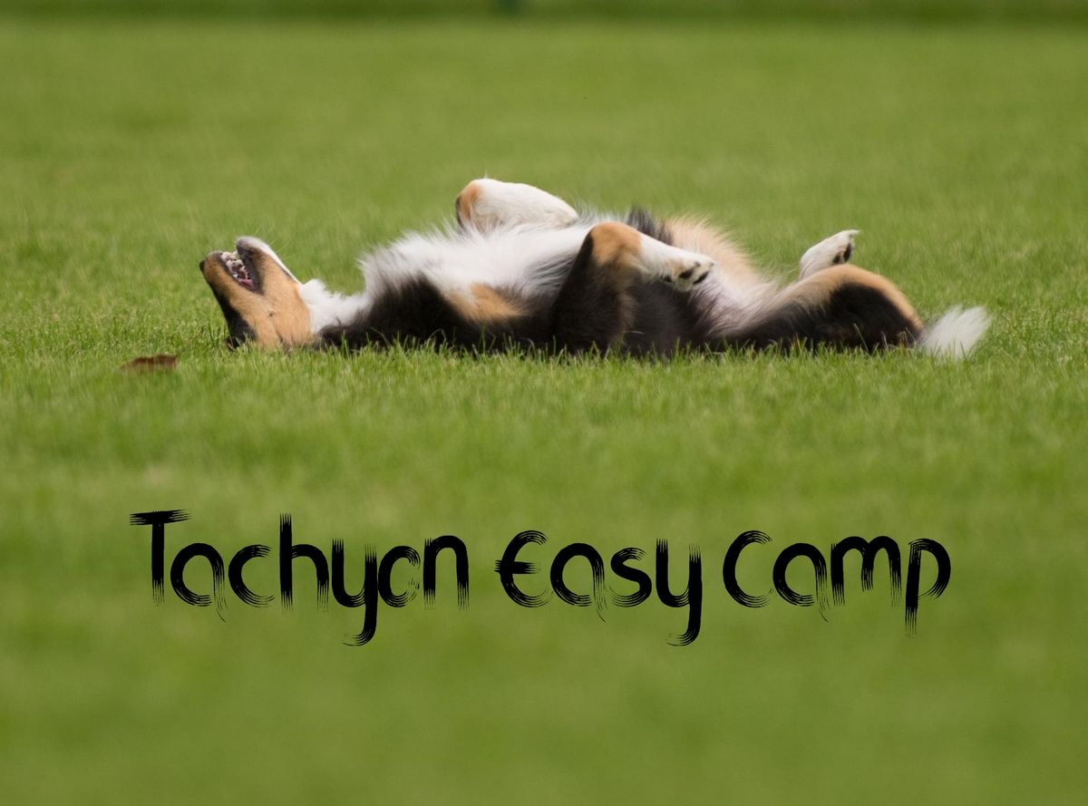 TACHYON EASY CAMP 2025