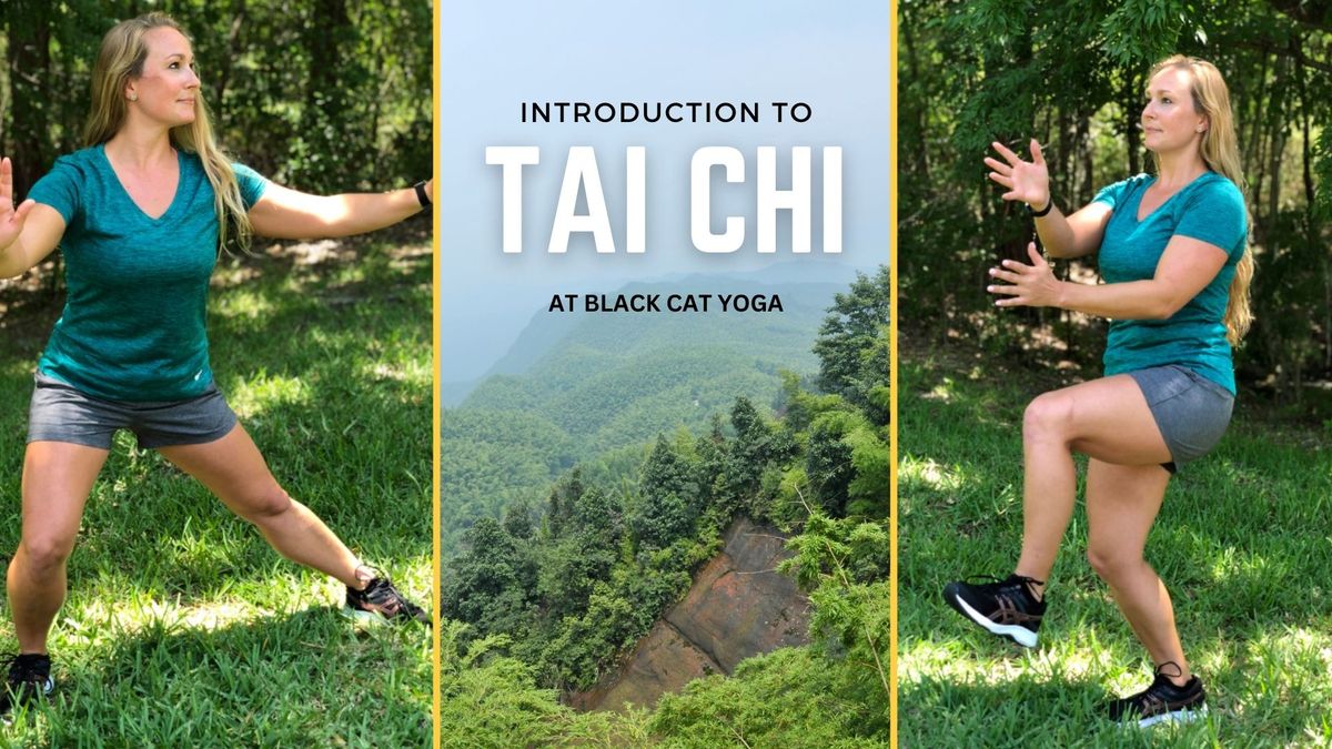 Introduction to Tai Chi