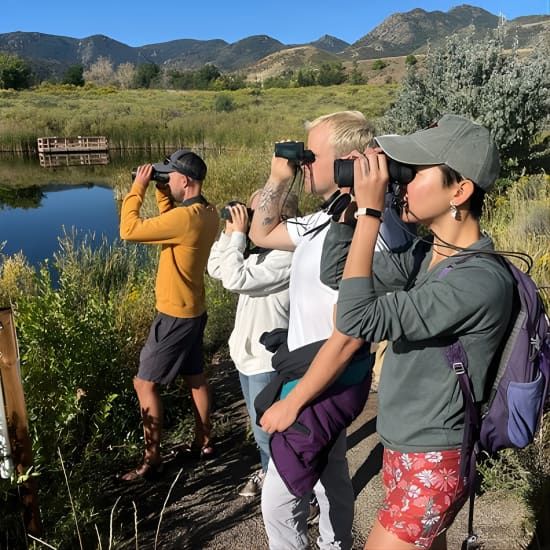 2 Hours of Mindful Bird Watching near Denver