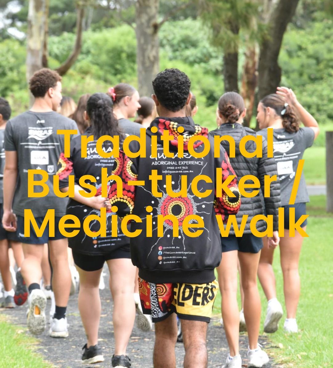 Gumaraa\u2019s Traditional Bush-Tucker\/Medicine Walk 