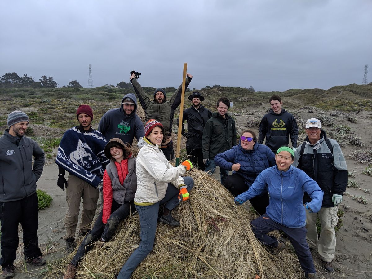 Dune Restoration Volunteer Work Day 