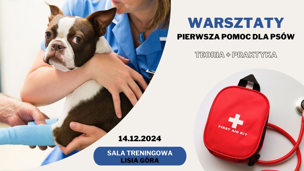 Warsztaty PIERWSZA POMOC DLA PS\u00d3W - 14.12.2024