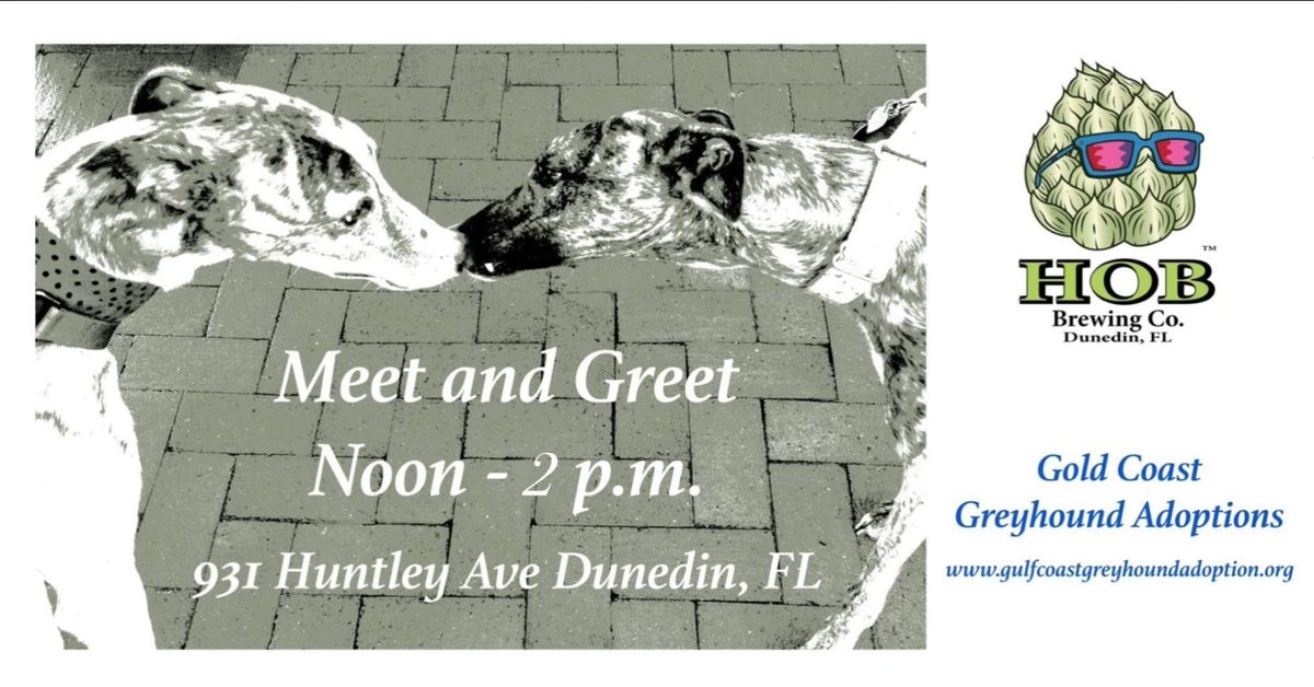 Greyhound Meet and Greet at HOB Brewing Company